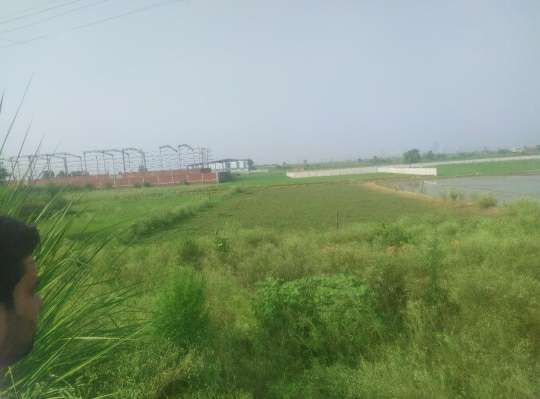 Industrial Land Bhojpur