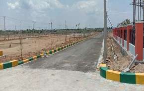 Commercial Land 200 Sq.Yd. For Resale In Kandi Hyderabad 5706056
