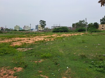 Plot For Resale in Vedantapuram Village Tirupati  5709211