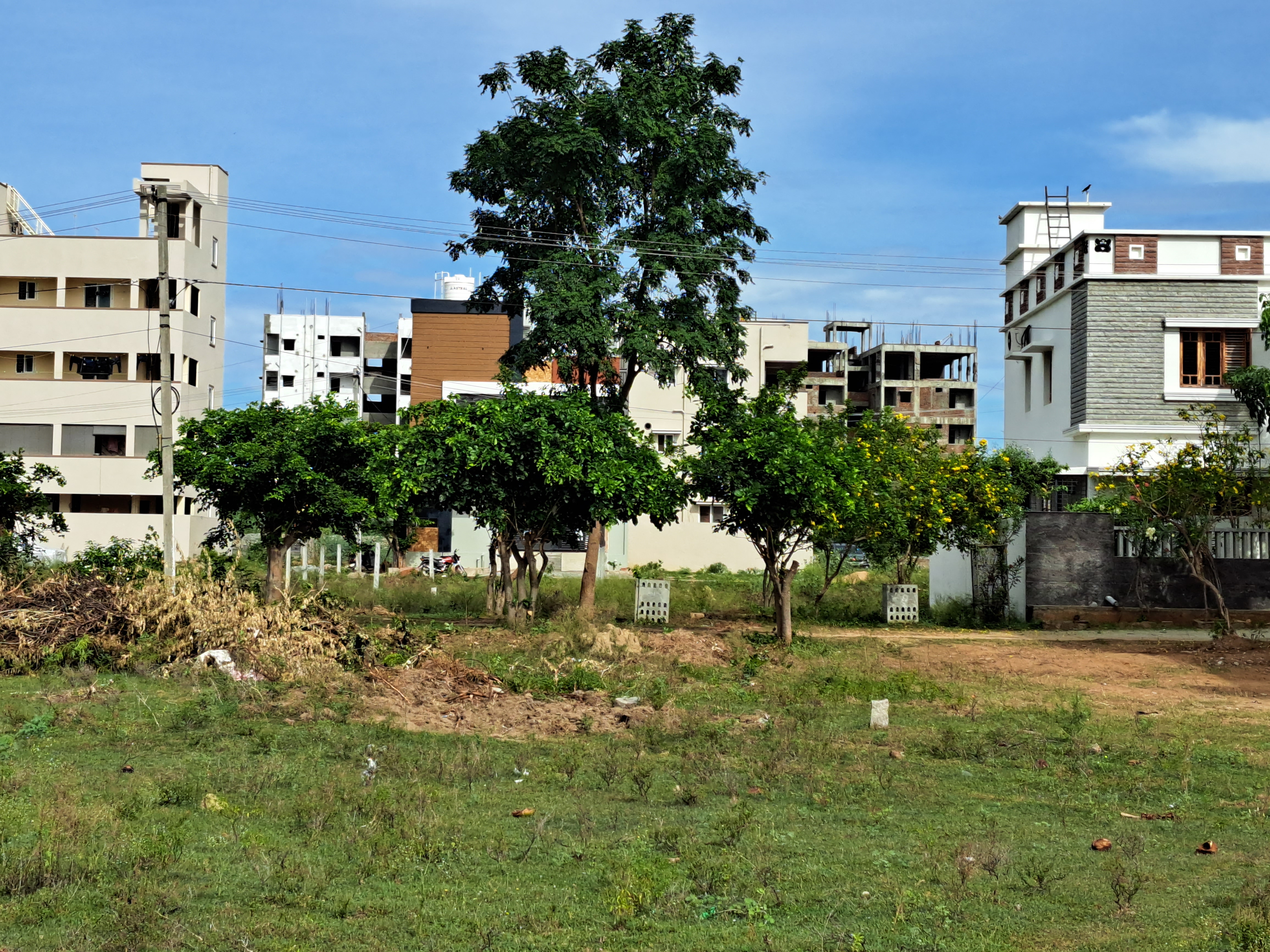 Plot For Resale in Vedantapuram Village Tirupati  5709419