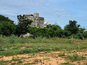 Plot For Resale in Vedantapuram Village Tirupati  5709441