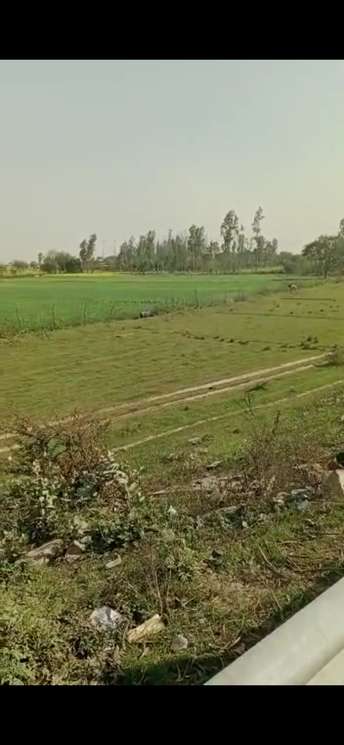 Commercial Land 50 Acre For Resale In Kona Gaon Faizabad 5709793