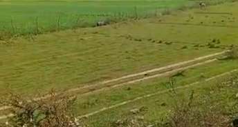 Commercial Land 50 Acre For Resale In Kona Gaon Faizabad 5709793