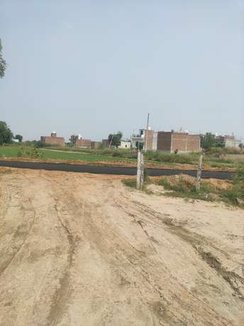  Plot For Resale in Sikri Faridabad 5710621