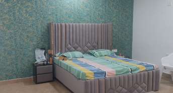 2 BHK Apartment For Resale in Sector 43 Faridabad 5712947