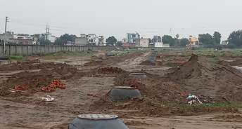  Plot For Resale in Sector 10 Sonipat 5713035