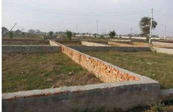 Plot For Resale in Ayodhya Faizabad  5713460