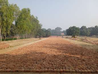  Plot For Resale in Sultanpur Road Lucknow 5714703