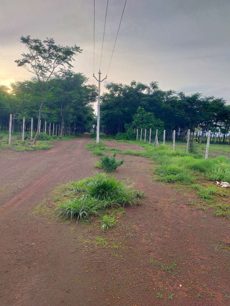Suvidha Farm Site