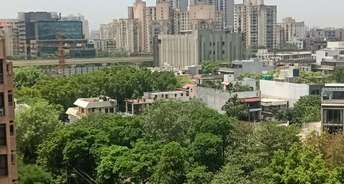 3 BHK Apartment For Resale in DLF City Phase V Dlf Phase V Gurgaon 5722422