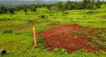 Commercial Land 10000 Sq.Yd. For Resale In Mangaon Raigad 5722763