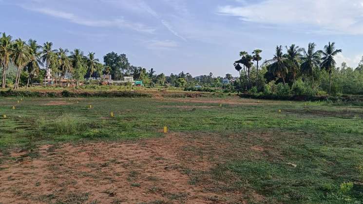 Sri Durgamamba Garden