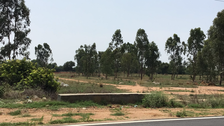 Ssv Residencial Land At Devanahalli