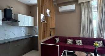 3.5 BHK Villa For Resale in Sector 118 Noida 5725155