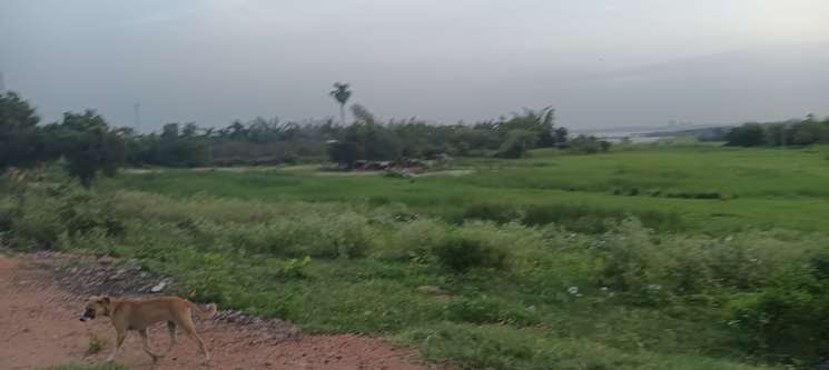Commercial Land 7 Acre in Chilkur Hyderabad