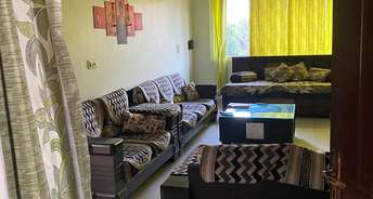 3 BHK Apartment For Resale in Alok Vihar Sector 50 Noida 5729281