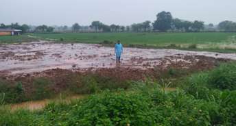 Commercial Land 16000 Sq.Ft. For Resale In Panagar Jabalpur 5729700