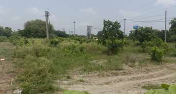  Plot For Resale in Sector 8 Sonipat 5730115