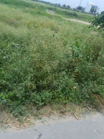  Plot For Resale in Sector 8 Sonipat 5730136