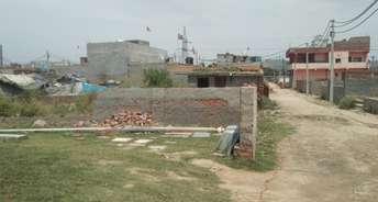  Plot For Resale in Sector 49 Noida 5730292