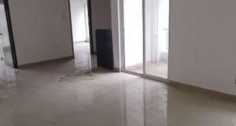 2 BHK Apartment For Resale in Dhanori Pune 5730971