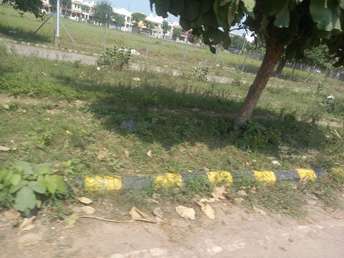  Plot For Resale in Sector 9 Sonipat 5731513