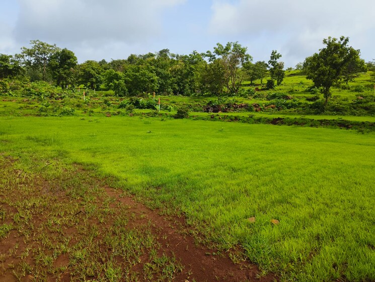 Exterior View, mangaon  10000 Sq.Yd. Plot In Mangaon Raigad 5731959