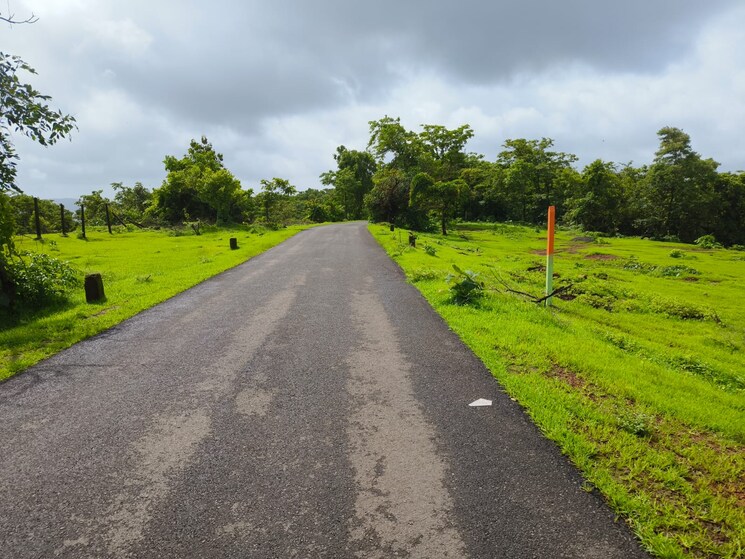 Exterior View, mangaon  10000 Sq.Yd. Plot In Mangaon Raigad 5731959