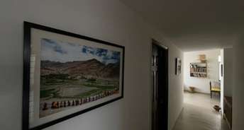 3.5 BHK Penthouse For Resale in Sector 128 Noida 5736145