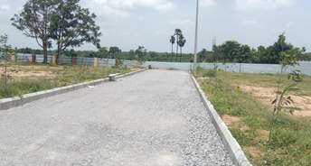  Plot For Resale in Bhanur Hyderabad 5736545