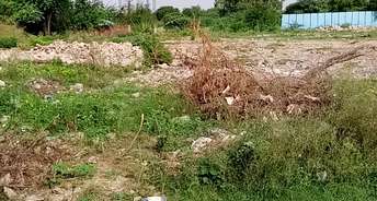  Plot For Resale in Sector 139 Faridabad 5737149