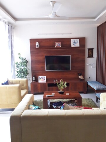 Living Room in 3 BHK Apartment at Tulip Violet, Sector 69 – for Rent