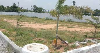  Plot For Resale in Boduppal Hyderabad 5738168