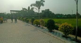  Plot For Resale in Sector 78 Faridabad 5739136