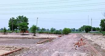  Plot For Resale in Bahbalpur Village Faridabad 5741213