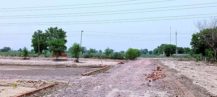 720 Sq.Ft. Plot in Bahbalpur Village Faridabad