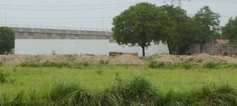 Commercial Industrial Plot 1255 Sq.Yd. For Resale In Sikri Faridabad 5746032