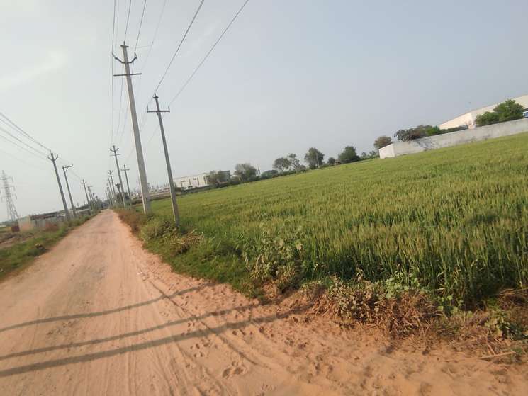 Low Bugged Industrial Purpose Land In Patli Palwal