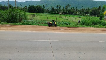  Land – Exterior View View at Tallapalem - for Sale