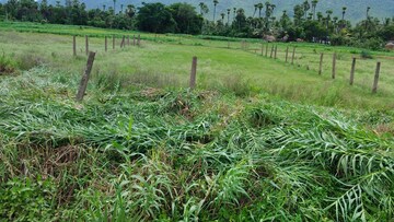 Plot Area in  Land at Tallapalem – for Sale