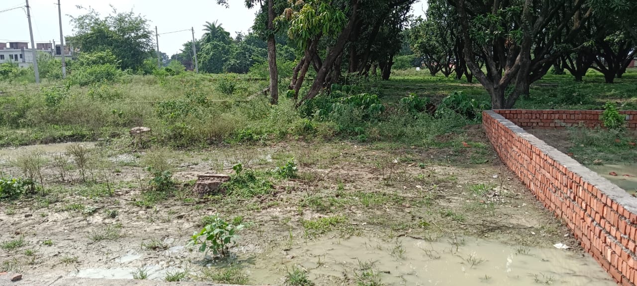 Resale 1000 Sq.Ft. Plot in Bijnor Road Lucknow 5756006