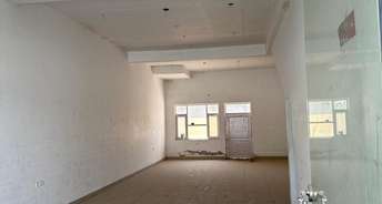 Commercial Shop 900 Sq.Ft. For Resale In Sector 117 Mohali 5756760