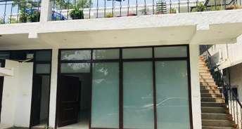 5 BHK Villa For Resale in Vasant Kunj Delhi 5758169
