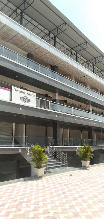 Commercial Showroom 1200 Sq.Ft. For Resale In Aerocity Chandigarh 5760445