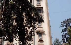 2 BHK Apartment For Resale in Florida Apartment Andheri West Mumbai 5761297