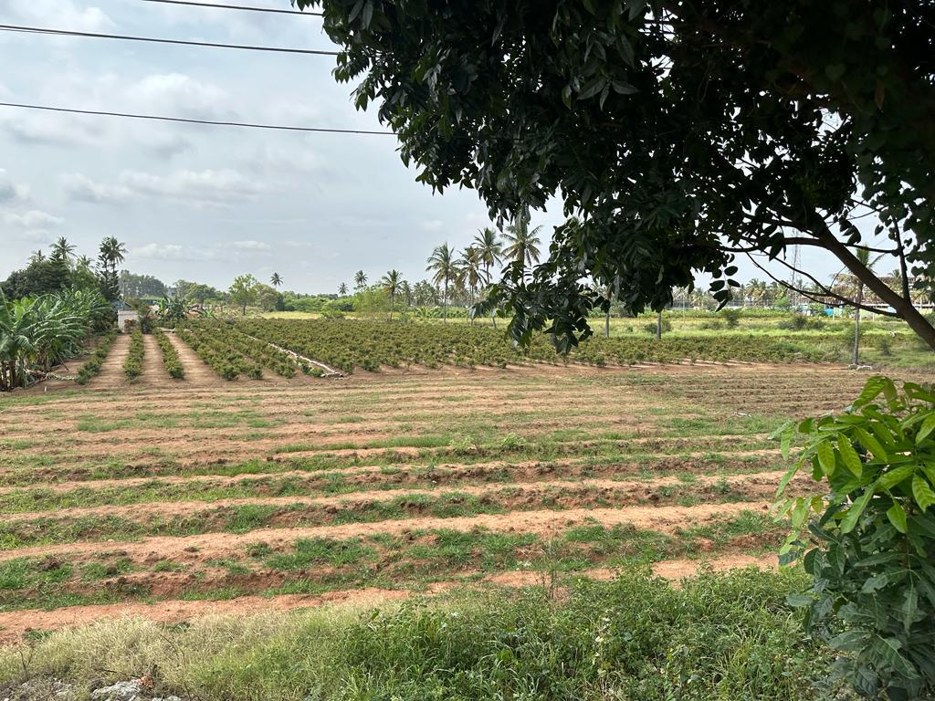 Resale Commercial Land 5 Acre in Devanahalli Bangalore 5761679