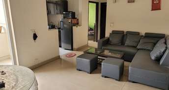 2.5 BHK Apartment For Resale in Sector 1 Noida 5762221