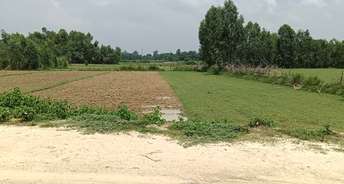 Commercial Land 2700 Sq.Ft. For Resale In Kanpur Road Lucknow 5763589