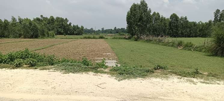 Unnao District 80 Bigha Land 200+ Front