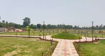  Plot For Resale in Ansal Sushant Golf City Celebrity Gardens Sushant Golf City Lucknow 5764360